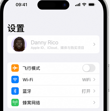 石河子乡appleID维修服务iPhone设置中Apple ID显示为灰色无法使用 