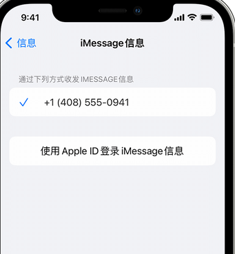 石河子乡apple维修iPhone上无法正常发送iMessage信息 