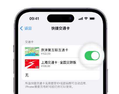 石河子乡apple维修点分享iPhone上更换Apple Pay快捷交通卡手绘卡面 