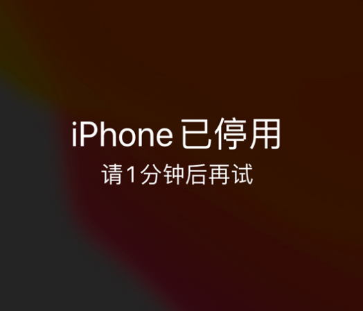 石河子乡苹果手机维修分享:iPhone 显示“不可用”或“已停用”怎么办？还能保留数据吗？ 