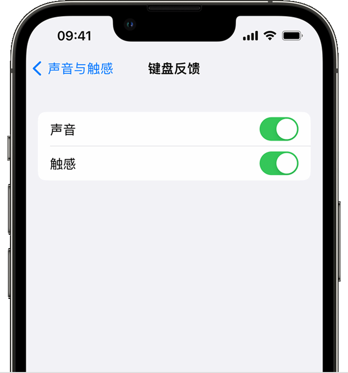 石河子乡苹果14维修店分享如何在 iPhone 14 机型中使用触感键盘 