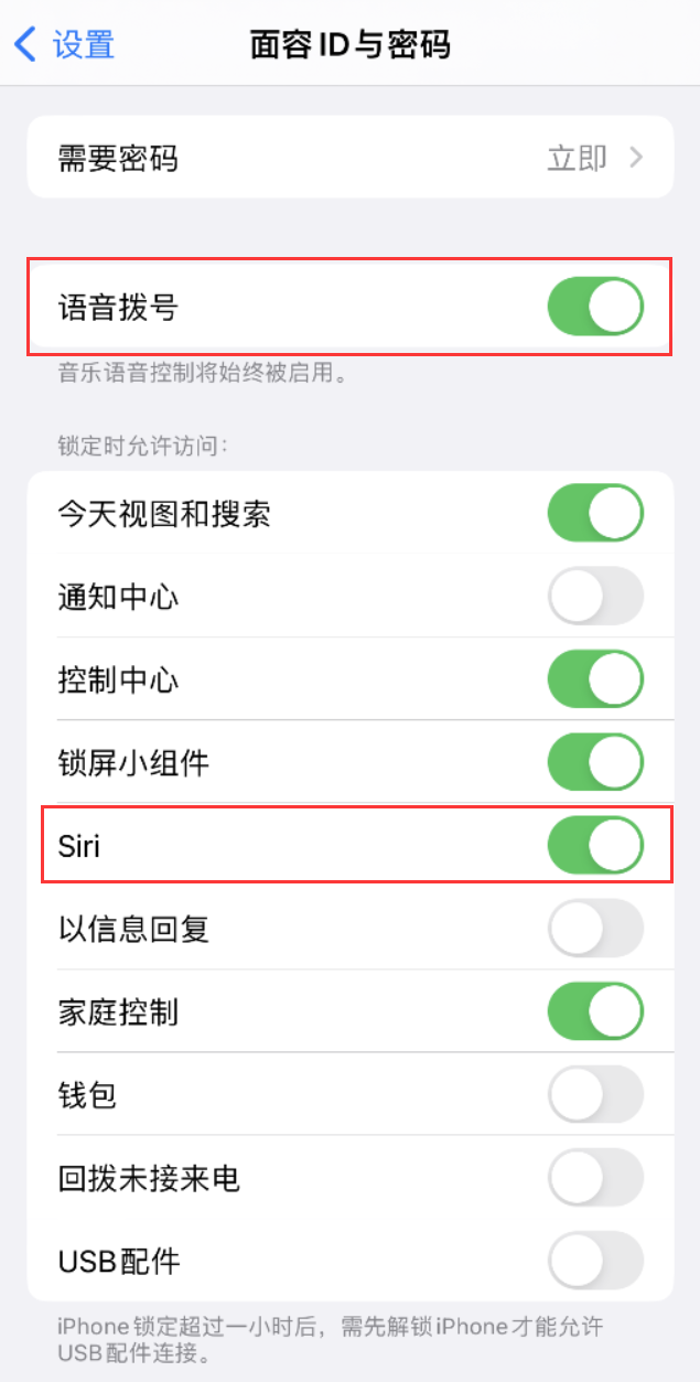 石河子乡苹果维修网点分享不解锁 iPhone 的情况下通过 Siri 拨打电话的方法 