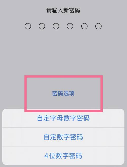 石河子乡苹果14维修分享iPhone 14plus设置密码的方法 