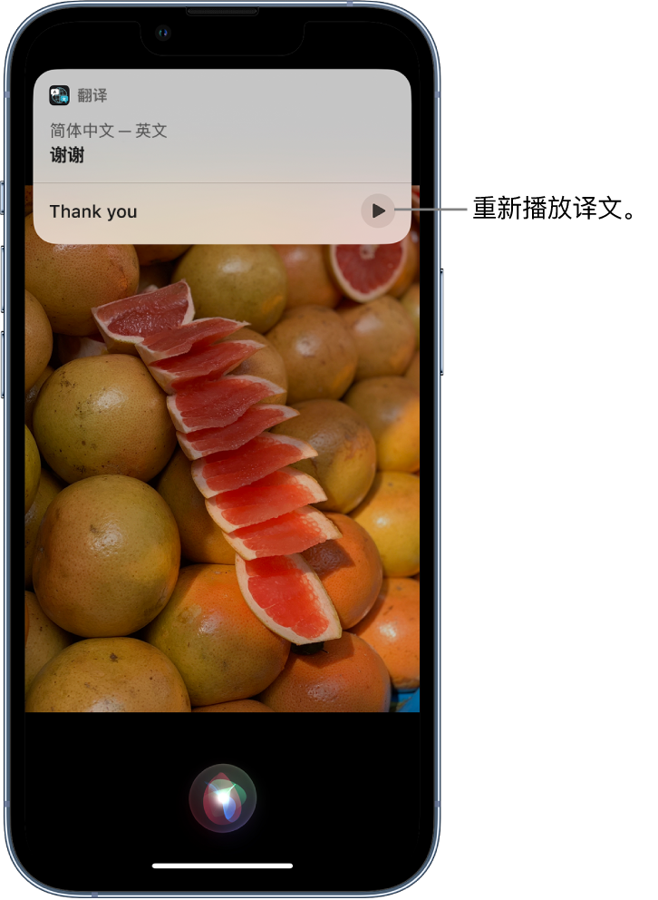 石河子乡苹果14维修分享 iPhone 14 机型中使用 Siri：了解 Siri 能帮你做什么 