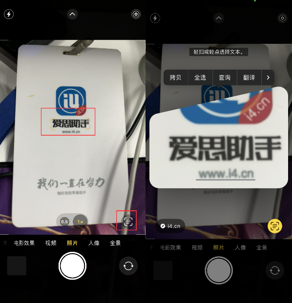 石河子乡苹果手机维修分享升级iOS 16后如何通过相机翻译文本 