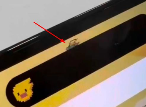 石河子乡苹果14维修分享iPhone 14 Pro Max灵动岛怎么养宠物 