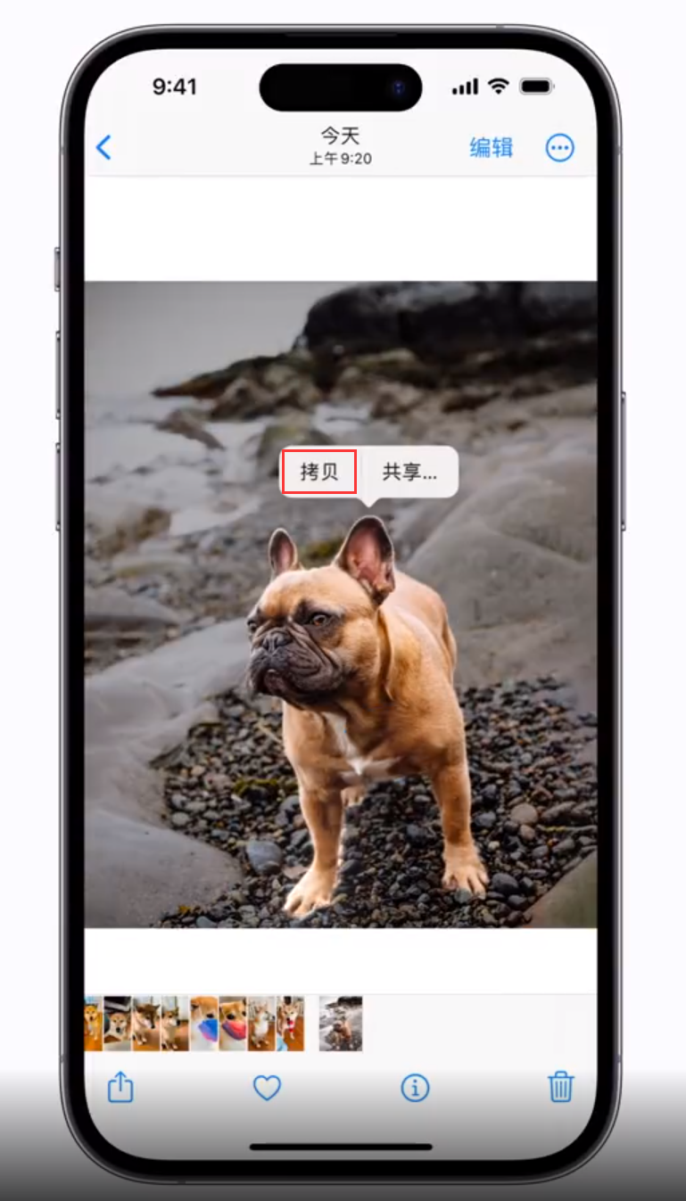 石河子乡苹果手机维修分享 iOS 16 自带一键抠图功能 