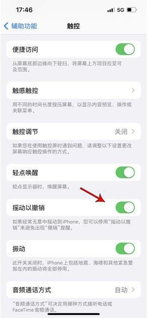 石河子乡苹果手机维修分享iPhone手机如何设置摇一摇删除文字 