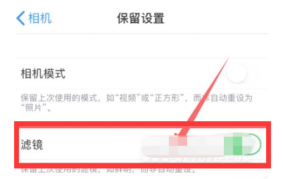 石河子乡苹果13维修分享iPhone13拍照有绿点是怎么回事 