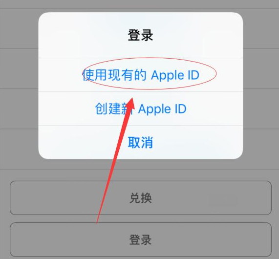 石河子乡苹果手机维修分享两台iPhone设备可以同时登录一个Apple ID吗 